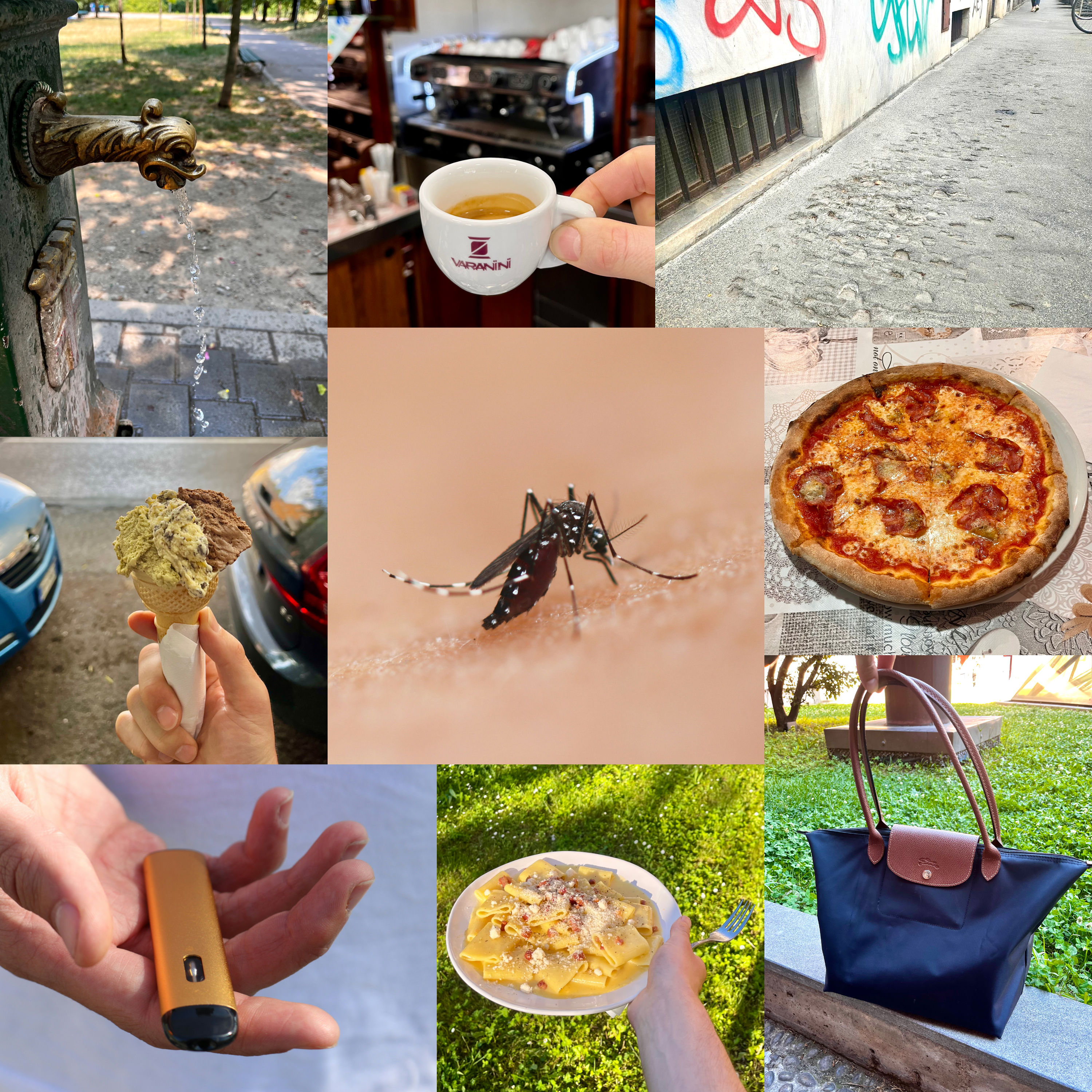 Neun Bilder aus Mailand als Collage